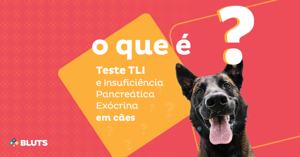 O que é teste TLI e Insuficiência Pancreática Exócrina em cães 